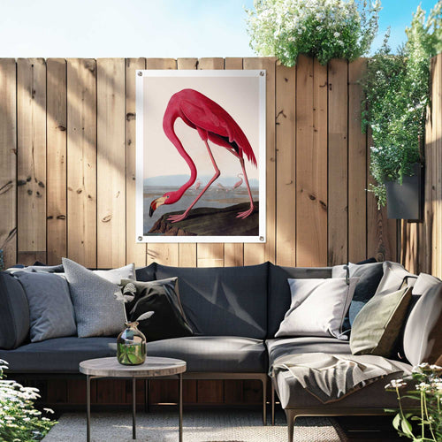 Reinders tuinposter Flamingo - 80x60cm