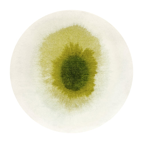 Ecorugs vloerkleed Green Pepper - groen - 240x240cm