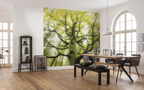 Sanders & Sanders fotobehang bomen groen - 450 x 280 cm - 612616 - vtwonen shop