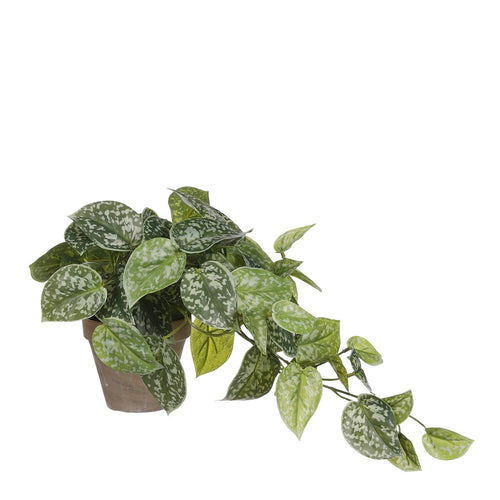 Mica Decorations Scindapsus Kunstplant in Bloempot Stan - H44 x Ø17 cm - Groen