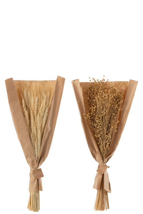 J-Line droogbloemen - Bundel gedroogde Vlas + Tarwe grass - naturel - 2 stuks - vtwonen shop