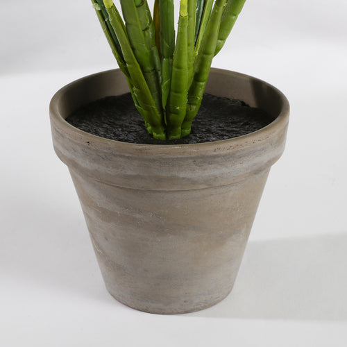 Mica Decorations Evergreen Kunstplant in Bloempot Stan - H49 x Ø40 cm - Groen