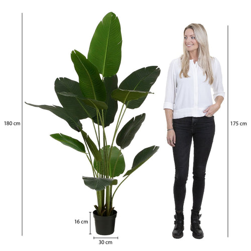 Mica Decorations Kunstplant Bananenboom in Pot - H180 x Ø30 cm - Groen