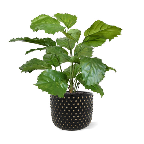 Maxifleur Tetrastigma kunstplant 40cm
