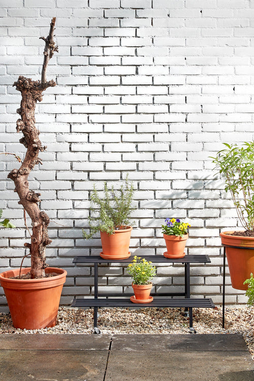 Mica Decorations  Greenrax Plantentafel - L90 x B44 x H42 cm - Metaal - Zwart - vtwonen shop