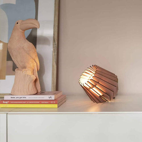 van Tjalle en Jasper - Mini-spot tafellamp - Aged Pink - vtwonen shop