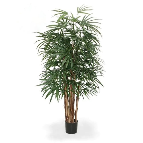 Maxifleur Raphis kunstpalm deluxe 160cm - FR - brandvertragend