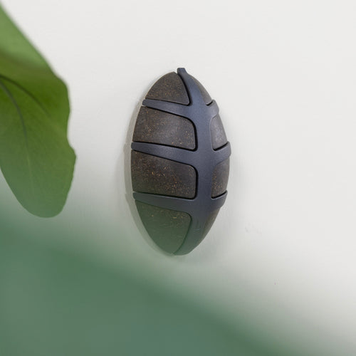 Spinder Design kapstok Bio Bug - Bio/ Zwart - 7 haken - vtwonen shop