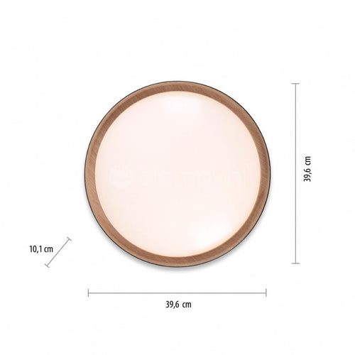 Paul Neuhaus plafondlamp Emilia - 1 lichts - 40  x 10   cm - zwart - vtwonen shop