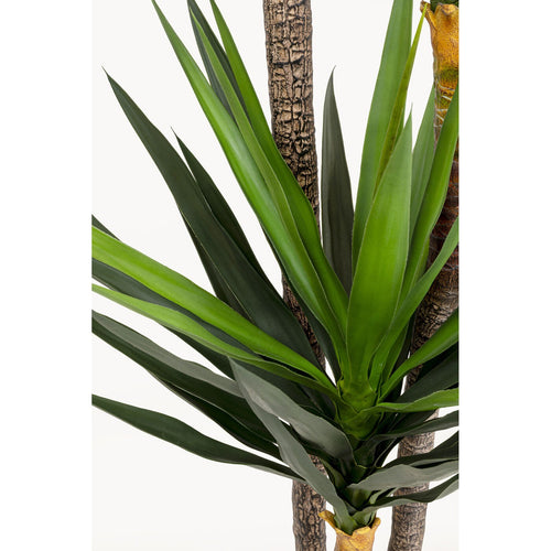 Kare Design Kunstplanten Yucca 250cm