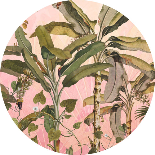 Sanders & Sanders zelfklevende behangcirkel botanisch roze en groen - Ø 125 cm - 611769