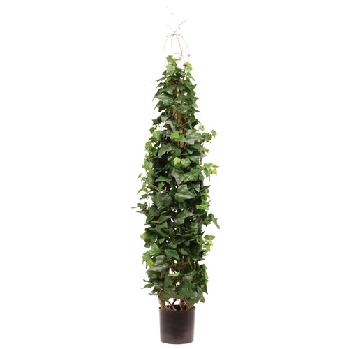 Maxifleur Kunst Hedera Klimplant Deluxe 130cm