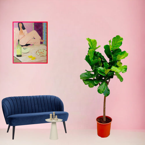 Trendyplants - Ficus Lyrata boom - Tabaksplant - Kamerplant - Hoogte 140-160 cm - Potmaat Ø30cm - vtwonen shop