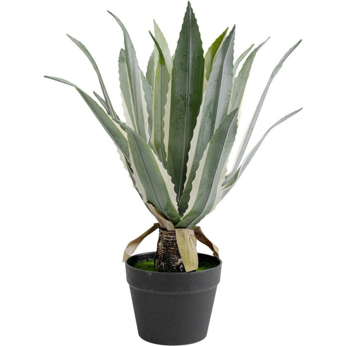 Kare Design Kunstplanten - agave - 50cm - vtwonen shop