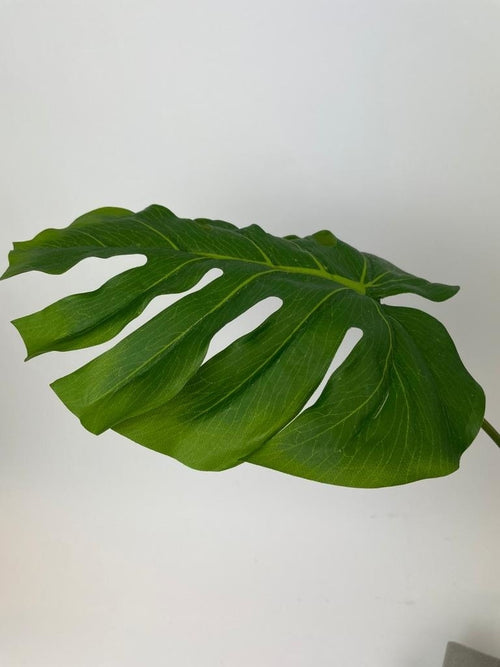 My Flowers.shop Groen monstera blad zijden bloem | Lengte 85 centimeter | Per stuk - vtwonen shop