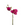 Sia Deco Kunstmatige Phalaenopsis Orchidee Stengel - Roze - H21