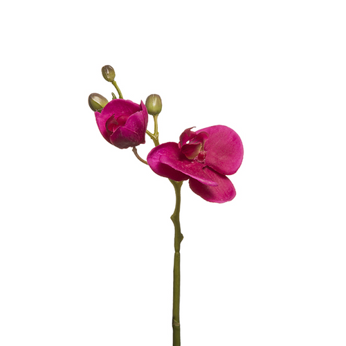 Sia Deco Kunstmatige Phalaenopsis Orchidee Stengel - Fuchsia - H21 - vtwonen shop