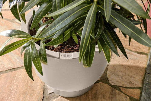 elho amber coupe 35 linnen wit | Bloempot |Premium statementdesign