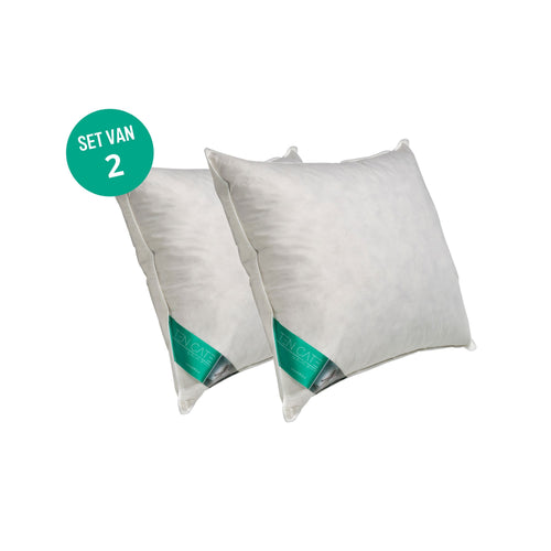 Ten Cate hoofdkussen - 100% eendenveren - 60x70