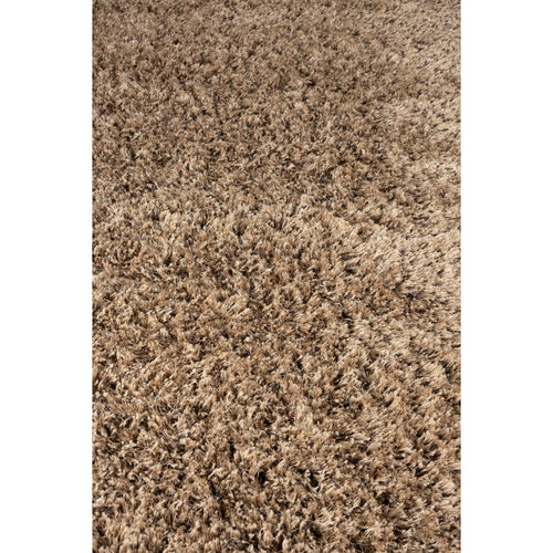 Zuiver Tasty Vloerkleed 200x290 cm Bruin