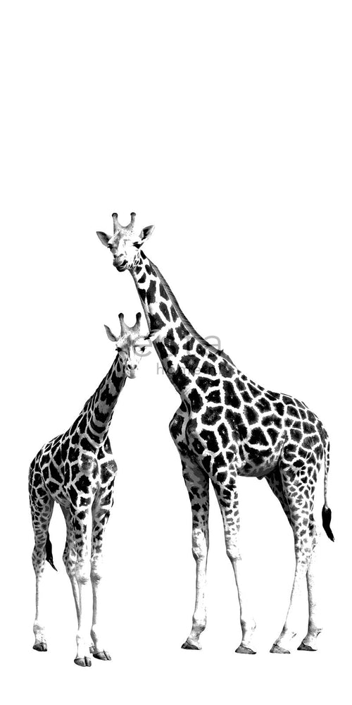 ESTAhome fotobehang giraffen zwart en wit - 139.5 x 279 cm - 158701 - vtwonen shop