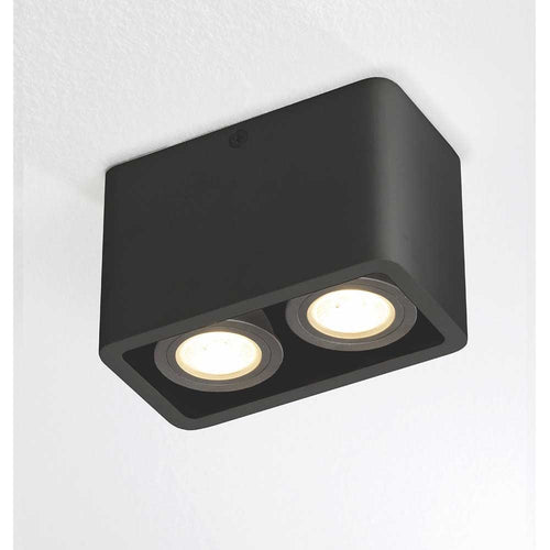 Artdelight Plafondlamp Bronx 2L - Zwart