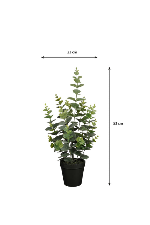 Mica Decorations Eucalyptus Kunstplant in Bloempot - H53 x Ø23 cm - Groen