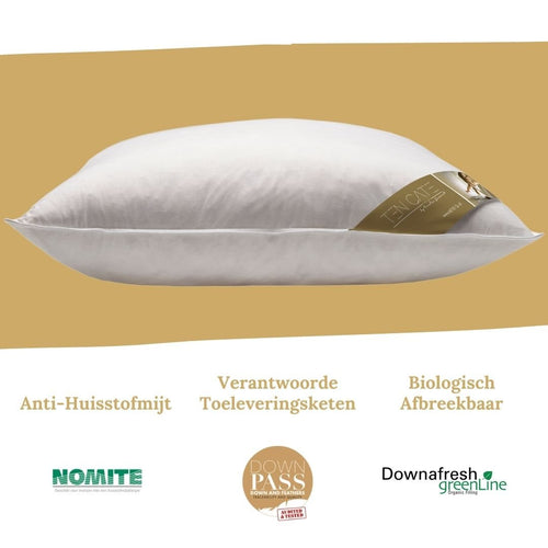Ten Cate hoofdkussen - 3-kamer ganzendons - 60x70 - vtwonen shop
