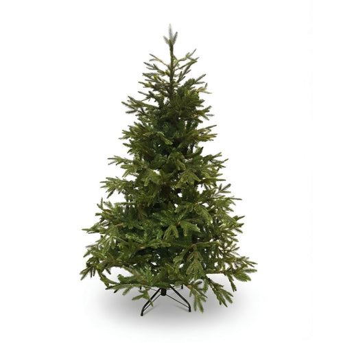 Black Box Trees Frasier Kerstboom - Kerstversiering voor Binnen met Natuurlijke Uitstraling - Kunstboom Grillige Vorm zoals Boom uit het Bos - H215 x