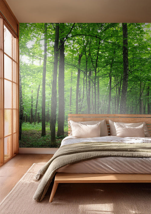 Sanders & Sanders fotobehang bosrijk landschap groen - 360 x 254 cm - 600401