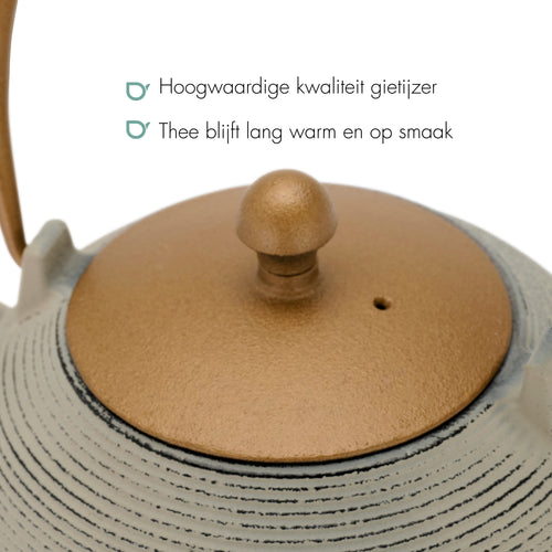 Bredemeijer - Theepot Sakura 1,2L gietijzer grijs