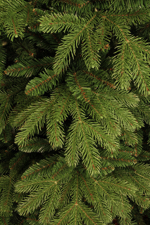 Black Box Trees Brampton Kunstkerstboom - Kerstboom H185 x Ø127 cm - Groen