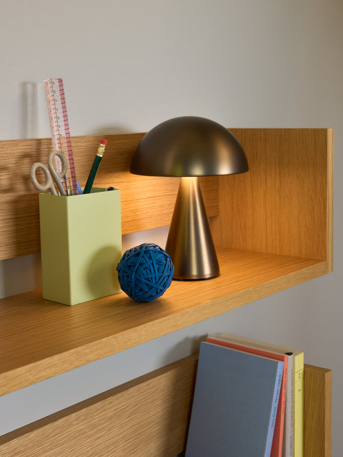 Hübsch draaglamp Mush - ijzer/polycarbonaat/acryl/ijzer/polycarbonaat - ø15xh20cm