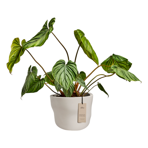 elho mura 40 linen white | Bloempot | Premium statementdesign
