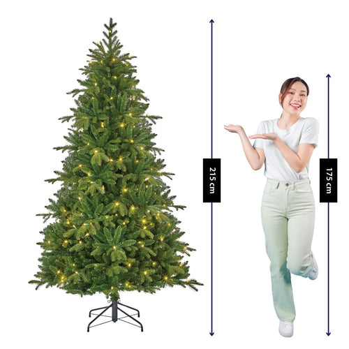 Black Box Trees Brampton Kerstboom met Verlichting - Kunstkerstboom Slim Model met 240 LED Lampjes - Kerstversiering voor Binnen - Extra Smal - H215 x