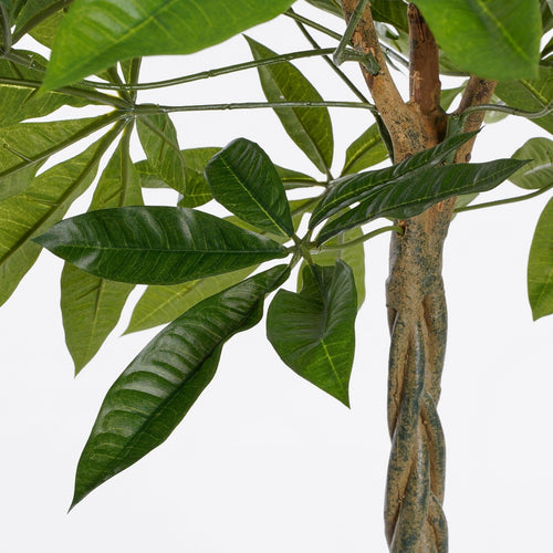 Mica Decorations Pachira Kunstplant - H80 x Ø60 cm - Groen