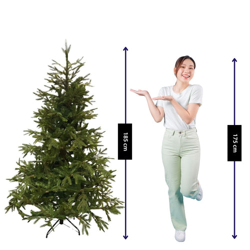 Black Box Trees Frasier Kerstboom - Realistische Kerstversiering voor Binnen - Kunstboom met Scharnierconstructie en Volle Uitstraling - H185 x Ø124