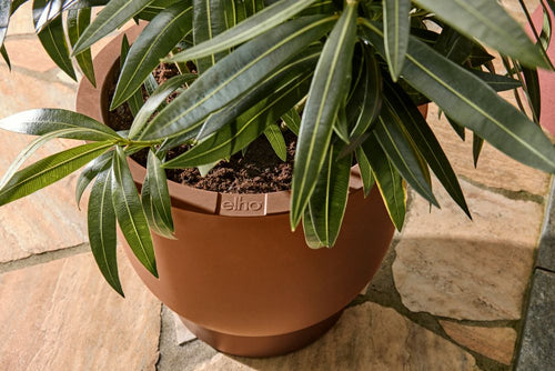 elho amber coupe 35 karamel | Bloempot |Premium statementdesign