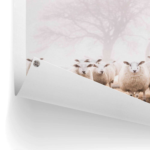 Reinders tuinposter Schaap in de mist - 80x60cm