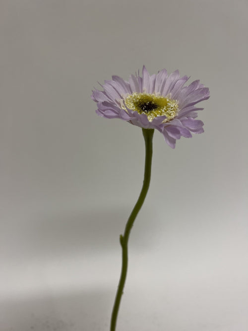 My Flowers.shop Paarse gerbera zijden bloem | Lengte 28 centimeter | Per stuk - vtwonen shop