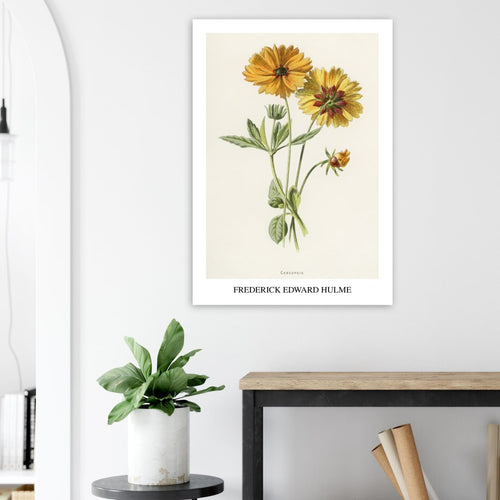 Artfulprints  Frederick Edward Hulme - Coreopsis   poster 30x40 cm