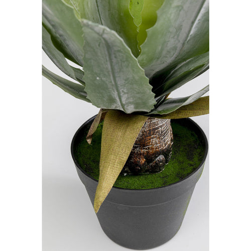 Kare Design Kunstplanten - agave - 40cm - vtwonen shop
