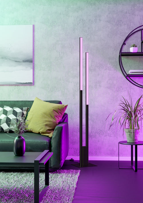 EGLO staande lamp Fraioli-Z - led - zwart - vtwonen shop