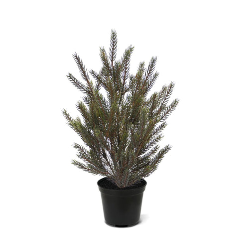 Maxifleur Picea Kunst Kerstboompje 40cm in kweekpot