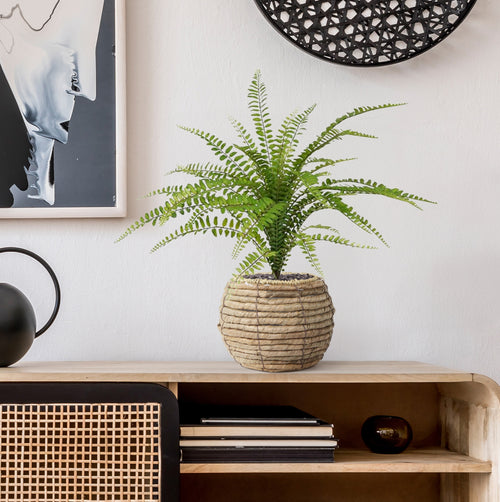 Maxifleur Asplenium Varen kunstplant 45cm