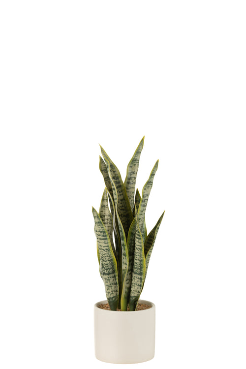 J-Line plant Sansevieria in pot - kunststof - groen - medium