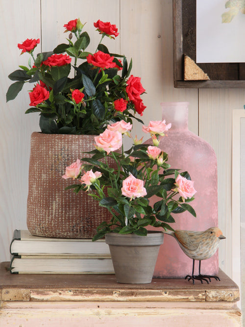 Mica Decorations Rozenstruik Kunstplant in Bloempot Stan - H33 x Ø25 cm - Rood