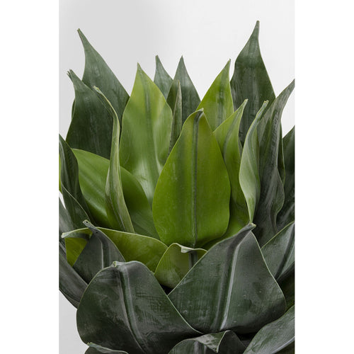 Kare Design Kunstplanten - agave - 120cm - vtwonen shop