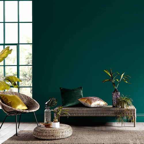 Graham & Brown Glasshouse - Matte Muurverf Afneembaar - 4L