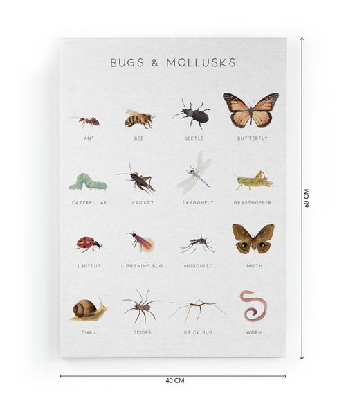 Canvas 60x40 Afdruk Insecten